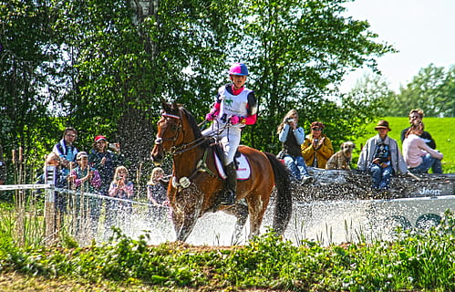 alsidighed, ride, alsidighed, ride, alsidighed undersøgelse, military, militær-ridning, hest, hindring, terræn, handling, bevægelse, vand, voldgrav, rytteren, Brun, hdr, konkurrence, ridning, udendørs, mennesker, sportsrace, sport, dyr, jockey, medium gruppe af mennesker, fritidsaktivitet, græs, gruppe af mennesker, plante, natur, herrer, pattedyr, dag, Kvinder, træ, gruppe, voksen, hanner, husdyr, rigtige mennesker, sprøjtning, 2K, CC0, offentligt domæne, royaltyfrie