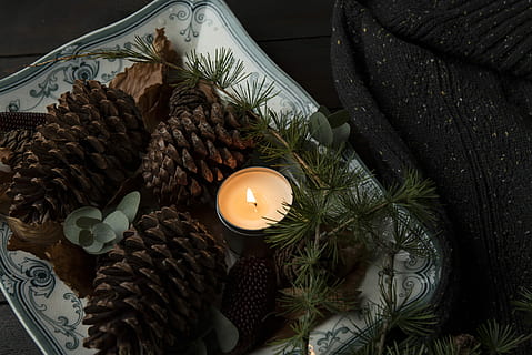 ได้ลงจากรถ, เทียน, จาน, ข้าง, pinecones, สาม, โคนต้นสน, เทียนทีไลท์, รูปกรวย, ต้นสน, ใบไม้, สาขา, เปลวไฟ, มืด, แผ่นเสียง, ฤดูใบไม้ร่วง, ตก, Pinecone, สีน้ำตาล, ส่องสว่าง, เครื่องประดับ, ในบ้าน, งานเฉลิมฉลอง, ไม่มีคน, เครื่องประดับวันคริสต์มาส, วันหยุด, คริสต์มาส, ของตกแต่งวันคริสต์มาส, มุมมองมุมสูง, ไฟ, ร้อน, ปลูก, ธรรมชาติ, ต้นไม้, เหตุการณ์, 5K, CC0, โดเมนสาธารณะ, ค่าลิขสิทธิ์ฟรี