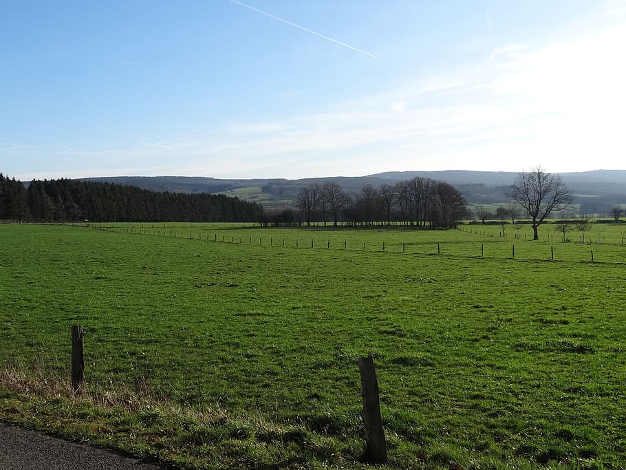 paesaggio, montagne, vista, montagna, albero, natura, nuvole, blu, colore, ripido, ardennes, pascolo, erba, verde, paesaggio di montagna, Belgio, cielo blu, inverno, Natale, pianta, campo, cielo, scena tranquilla, terra, scenics - natura, la tranquillità, ambiente, bellezza nella natura, colore verde, crescita, nessuno, recinto, scena non urbana, confine, barriera, post in legno, 2K