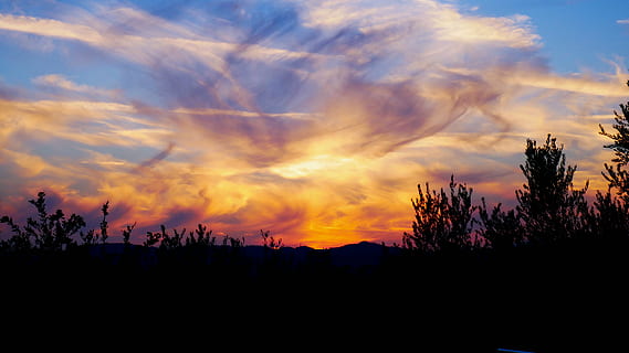 solnedgang, lys, himmel, skyer, perspektiv, humør, gulllys, Abendstimmung, skumring, atmosfære, romantisk, silhouette, sky - himmel, skjønnhet i naturen, tre, anlegg, rolig scene, naturskjønnhet - natur, ro, ingen folk, natur, ikke-urbane scene, oransje farge, miljø, idylliske, landskap, dramatisk himmel, vekst, utendørs, 4K, CC0, offentlig domene, opphavsrett gratis