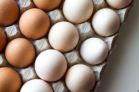 white, brown, eggs, tray, egg white, egg yolk, easter, shell, food, cholesterol, hen, vegetarian, gastronomy, eat, cook, sweets, egg, dessert, cream, chantilly, pastry, sandwich, food and drink, wellbeing, freshness, vulnerability, healthy eating, fragility, large group of objects, raw food, egg carton, animal egg, no people, indoors, close-up, nature, carton, abundance, high angle view, 5K, CC0, public domain, royalty free