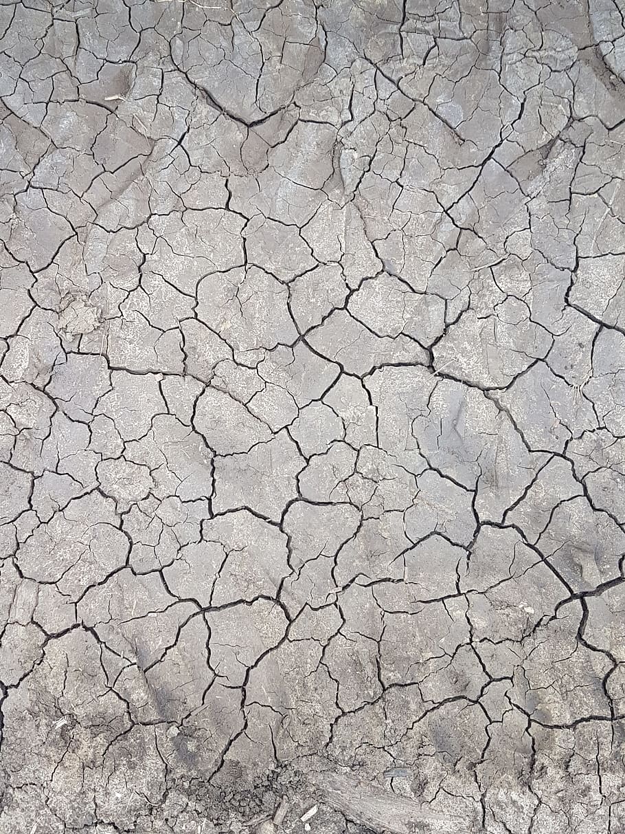 textures, terra, crepe, suolo, squartato, pavimento, umidità, screpolato, clima, asciutto, clima arido, siccità, fotogramma intero, sfondi, strutturato, ambiente, modello, scenics - natura, giorno, sterile, nessuno, modello naturale, sporco, problemi ambientali, terreno estremo, fango, all'aperto, 4K