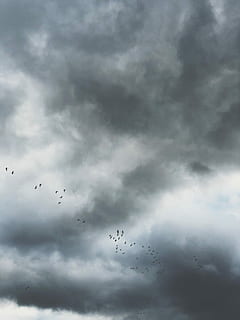 ocells, volant, gris, núvols, ennuvolat, cel, durant el dia, núvol, fosc, ramat, ocell, volar, desert, iphone 8 plus, fotografia mòbil, telèfon, iphone, naturalesa, grua sandhill, grua, núvol - cel, vista d’angle baix, animal, temes d'animals, grup d’animals, fauna animal, vertebrats, a l'aire, animals a la natura, gran grup d’animals, ramat d’ocells, cap gent, dia, bellesa a la natura, moviment, avió, 4K, CC0, domini públic, lliure de regalies