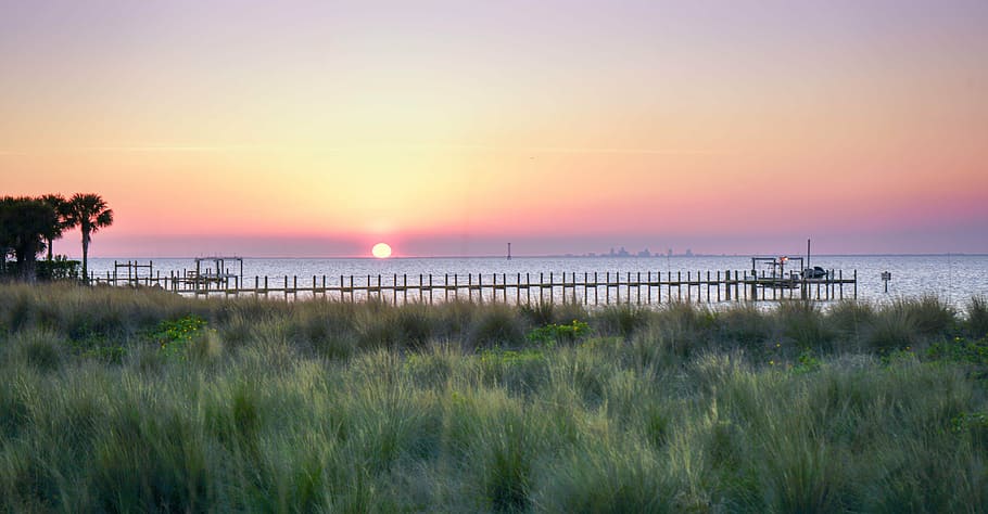 câmp de iarbă verde, apus de soare, doc, florida, tropical, cer, palmier, coastă, paradis, natură, copac, tropic, peisaj, colorat, în aer liber, mod de viata, plaja tropicala, apă, mare, orizont, orizontul peste apă, frumusețe în natură, scenice - natura, liniște, plajă, o scenă liniștită, teren, iarbă, plantă, soare, idilic, nici o persoana, destinații de călătorie, iarba de iarbă, 8K