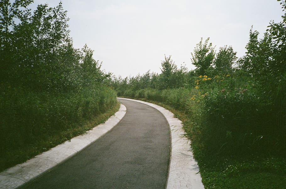 strada superiore nera, strada asfaltata vuota, strada, albero, sentiero, campagna, nazione, piegare, itinerario, asfalto, pista, fine, isola del governatore, New York, pianta, giardino, la strada davanti, direzione, mezzi di trasporto, crescita, colore verde, cielo, natura, nessuno, giorno, la tranquillità, erba, curva, scena tranquilla, prospettiva decrescente, bellezza nella natura, scena non urbana, all'aperto, lungo, 2K