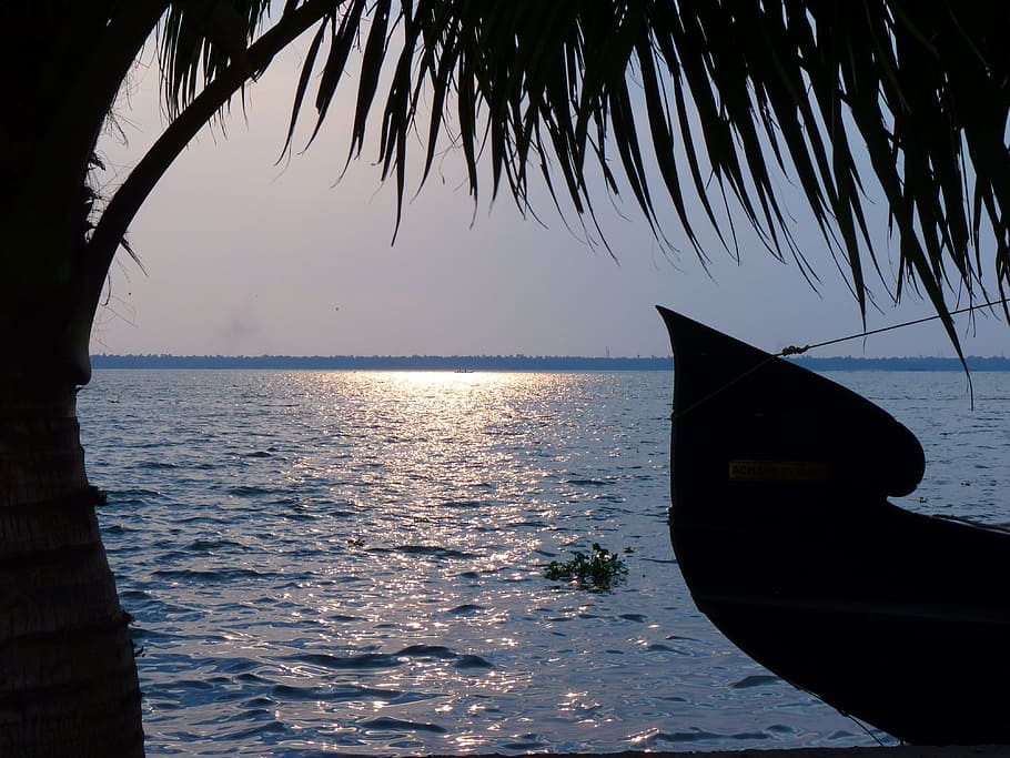 tramonto, acqua, avvio, backwaters, India, mare, nave nautica, natura, posizioni di viaggio, cielo, scena tranquilla, vacanze, clima tropicale, spiaggia, Paesaggi, nessuno, mezzi di trasporto, scenics - natura, modo di trasporto, Palma, orizzonte sull'acqua, orizzonte, bellezza nella natura, la tranquillità, albero, luce del sole, terra, all'aperto, foglia di palma, 4K