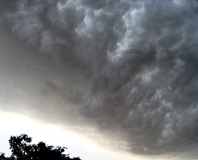 nuvola grigia, nube, banca, pesante, attivo, violento, tempesta, infausto, buio, bordo, illuminato, cielo, nuvola - cielo, bellezza nella natura, Inquadratura dal basso, scenics - natura, nessuno, nuvola temporalesca, nuvoloso, la tranquillità, natura, cielo drammatico, Cloudscape, albero, all'aperto, scena tranquilla, pianta, temporale, meteorologia, cima dell'albero, 2K, CC0, dominio pubblico, privo di copyright