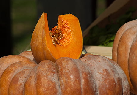 vegetables, pumpkin, squash, seed, food and drink, food, freshness, orange color, healthy eating, wellbeing, vegetable, close-up, no people, still life, focus on foreground, day, nature, market, for sale, fruit, outdoors, gourd, organic, 2K, CC0, public domain, royalty free