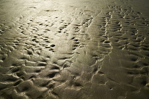 strand, sol, afspejling, struktur, terry, solnedgang, lys, natur, miljømæssige, mønster, kystlinje, baggrund, solopgang, omvendt lys, kystnære, ingen mennesker, baggrunde, sand, tæt på, dag, fuld ramme, jord, fodspor, Print, tekstureret, høj vinkel visning, sollys, dækspor, spor - aftryk, udendørs, ro, vand, tørt klima, 5K, CC0, offentligt domæne, royaltyfrie