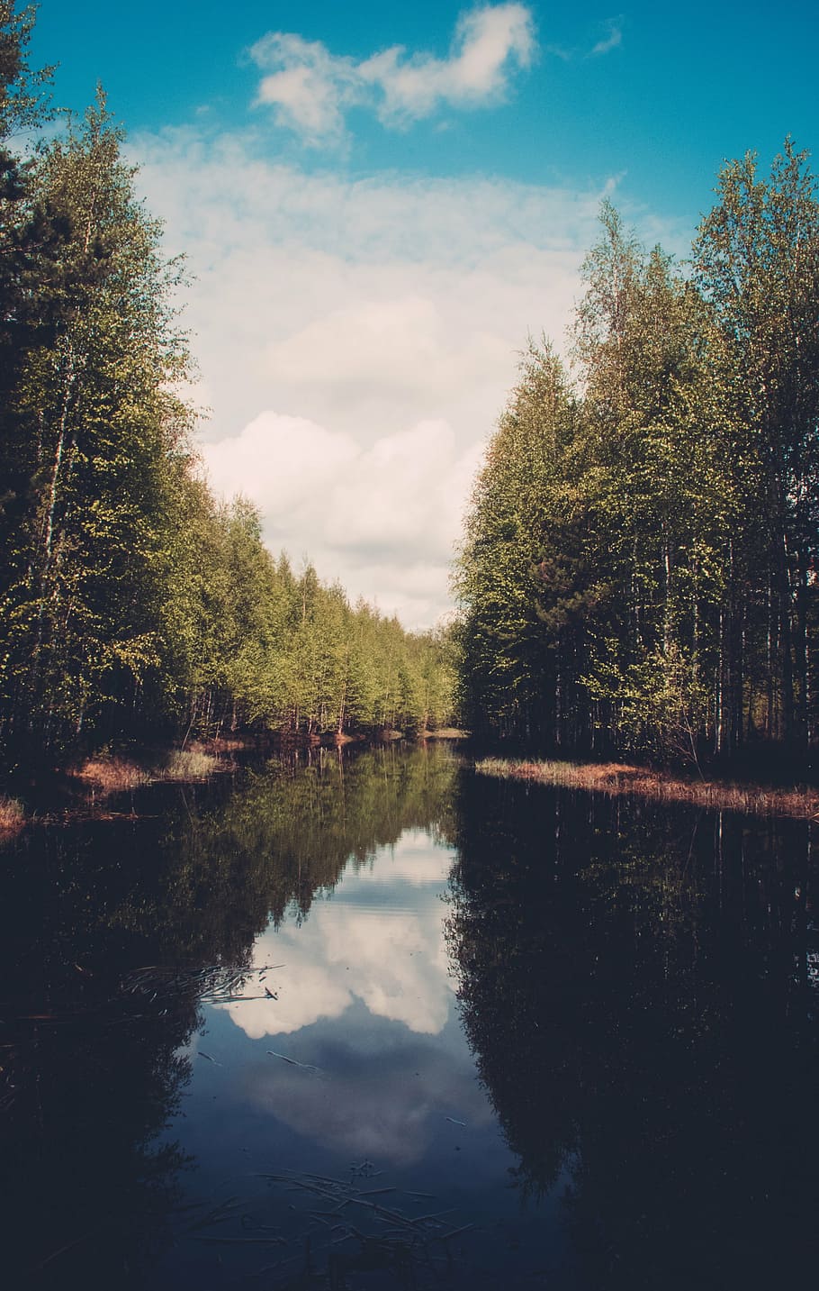 Fluss, Bäume, wolkig, Himmel, Foto, Grün, nahe, Karosserie, Wasser, tagsüber, See, Reflexion, Wald, Natur, draußen, Landschaft, Wolken, sonnig, Sommer-, Baum, ruhige Szene, szenen, Ruhe, keine Leute, Pflanze, wolke - himmel, Szenen - Natur, Schönheit in der Natur, Ufergegend, Wachstum, Tag, Nicht-städtische Szene, stehendes Wasser, Reflexionssee, 5K