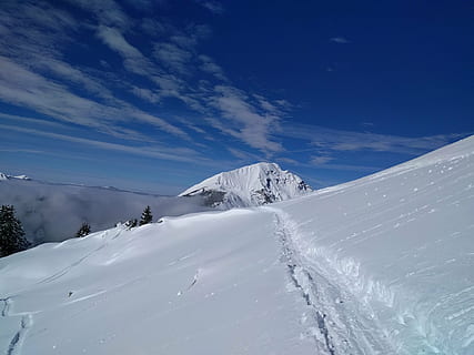 Góra, zimowy, śnieg, zimno, sceniczny, narty, alpejski, Alpy, zimna temperatura, niebo, scenics - natura, biały kolor, piękno natury, niebieski, chmura - niebo, spokojna scena, ośnieżona góra, spokój, Natura, krajobraz, środowisko, scena pozamiejska, żadnych ludzi, dzień, drzewo iglaste, szczyt górski, sosna, Ośrodek narciarski, 4K, CC0, domena publiczna, darmowe zdjęcia