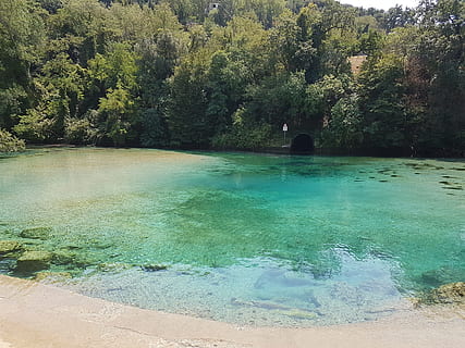 voda, zdroj, Průhledná, strom, rostlina, krása v přírodě, Příroda, klid, scenics - příroda, den, klidné scény, přistát, idylický, růst, nábřeží, nikdo, teplé jaro, jezero, venku, mimoměstské scény, les, tyrkysové barvy, moci, 4K, CC0, veřejná doména, bez autorských práv