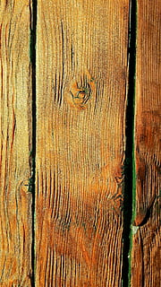 fusta, textura, porta, node, mobles, eix, vell, planta, fons, material de fusta, marc complet, patró, tronc de l'arbre, tronc, primer pla, arbre, cap gent, marró, aspre, gra de fusta, tauler, dia, patró natural, fusta nuada, a l'aire lliure, escorça, anell d’arbre, 4K, CC0, domini públic, lliure de regalies