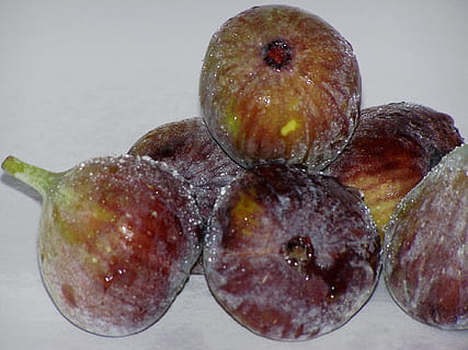 fig, fruit, power functional, food, food and drink, close-up, still life, freshness, healthy eating, indoors, no people, wellbeing, white background, studio shot, table, nature, red, group of objects, high angle view, berry fruit, ripe, maroon, temptation, 1080P, CC0, public domain, royalty free