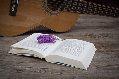 åben, bog side, ved siden af, Brun, guitar, Bestil, uddannelse, sider, Læs, litteratur, lære, pædagogik, undersøgelse, læsning, papir, blomst, blomstre, flor, lilla, buddleja davidii, sommer lilla, sommerfugl buske, lilla spyd, akustisk guitar, instrument, musik, fritid, lempelse, slap af, offentliggørelse, musikinstrument, blomstrende plante, bord, streng instrument, kunstkultur og underholdning, træ - materiale, indendørs, stilleben, snor, læring, side, ingen mennesker, 5K, CC0, offentligt domæne, royaltyfrie