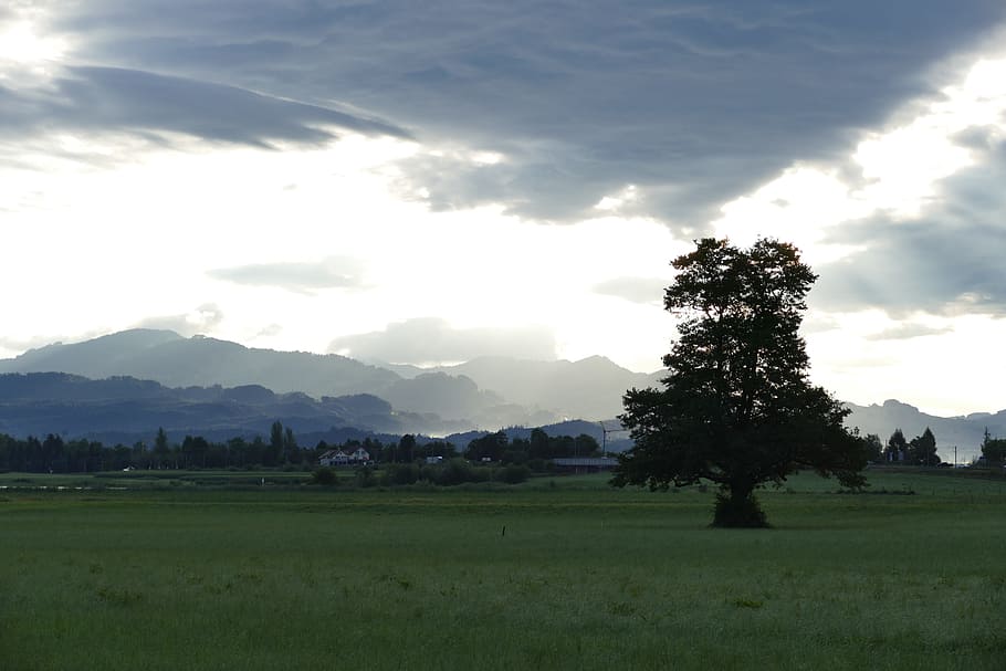 boira, paisatge, humor, núvols, tempesta, crepuscle, al matí, llac zurich, suïssa, zürcher oberland, arbre, prat, morgenstimmung, planta, cel, núvol - cel, escena tranquil·la, escenics - natura, medi ambient, bellesa a la natura, herba, camp, tranquil·litat, terra, naturalesa, escena no urbana, color verd, creixement, cap gent, dia, muntanya, a l'aire lliure, 5K