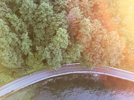 des de dalt, ocell, fotografia d'ulls, arbres, carretera, aèria, aventura, explorar, arbre, llum solar, llac, carretera corba, doblar, Canadà, Vancouver, vista, hellobc, pnw, cap gent, naturalesa, aigua, dia, transport, planta, vista d’angle alt, a l'aire lliure, creixement, terra, mar, bellesa a la natura, manera de transport, color verd, automòbil, primer pla, vehicle terrestre, reflexió, 4K, CC0, domini públic, lliure de regalies