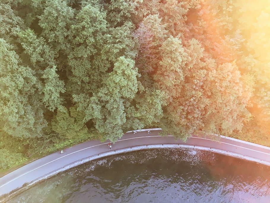des de dalt, ocell, fotografia d'ulls, arbres, carretera, aèria, aventura, explorar, arbre, llum solar, llac, carretera corba, doblar, Canadà, Vancouver, vista, hellobc, pnw, cap gent, naturalesa, aigua, dia, transport, planta, vista d’angle alt, a l'aire lliure, creixement, terra, mar, bellesa a la natura, manera de transport, color verd, automòbil, primer pla, vehicle terrestre, reflexió, 4K