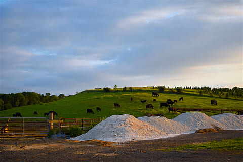 vacas, granja, ladera, hierba, puesta de sol, agricultura, rural, paisaje, naturaleza, campo, país, casa, cielo, nube, edificio, al aire libre, verde, de madera, cerca, prado, natural, pasto, primavera, nube - cielo, paisajes - naturaleza, ambiente, tierra, belleza en la naturaleza, nadie, planta, tranquilidad, sólido, escena no urbana, escena tranquila, roca - objeto, rock, árbol, escena rural, 4K, CC0, dominio público, libre de derechos