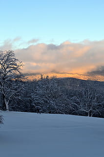 bjerg, sne, vinter, træer, solnedgang, landskab, snesko, kold temperatur, træ, plante, rolig scene, himmel, sky - himmel, ro, scenics - natur, skønhed i naturen, miljø, ingen mennesker, natur, ikke-urbane scene, bare træ, jord, udendørs, 4K, CC0, offentligt domæne, royaltyfrie
