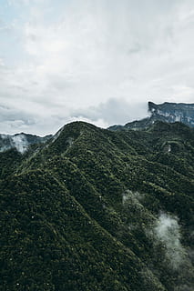 aerial, view, hills, close, photography, peak, mountain, clear, white, grey, sky, hill, forest, cloud, tree, landscape, rainforest, jungle, mist, steam, nature, dark, green, wilderness, hight, scenics - nature, beauty in nature, cloud - sky, tranquil scene, tranquility, environment, non-urban scene, day, no people, green color, mountain range, land, idyllic, plant, outdoors, mountain peak, 4K, CC0, public domain, royalty free