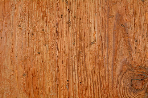primer pla, foto, marró, fusta, pissarra, estructura, fons, gra, textura, material de fusta, tauler, patró, material, sòls, naturalesa, aspre, gra de fusta, marc complet, fusta dura, cap gent, fusta nuada, resum, vell, terres de fusta dura, funció de construcció de parets, efecte texturat, nivell superficial, pi, panells de fusta, 5K, CC0, domini públic, lliure de regalies