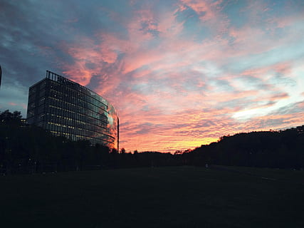 tramonto, Berlino, sony, architettura, silhouette, cielo, esterno dell'edificio, struttura costruita, nuvola - cielo, città, natura, nessuno, costruzione, moderno, bellezza nella natura, all'aperto, edificio per uffici esterno, Inquadratura dal basso, albero, pianta, ufficio, crepuscolo, 4K, CC0, dominio pubblico, privo di copyright