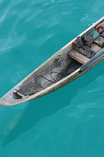 boat, lake, nature, river, water, nautical Vessel, transportation, animal, day, vertebrate, animal themes, sea, no people, animal wildlife, animals in the wild, high angle view, fish, marine, mode of transportation, outdoors, sea life, one animal, turquoise colored, swimming pool, 5K, CC0, public domain, royalty free