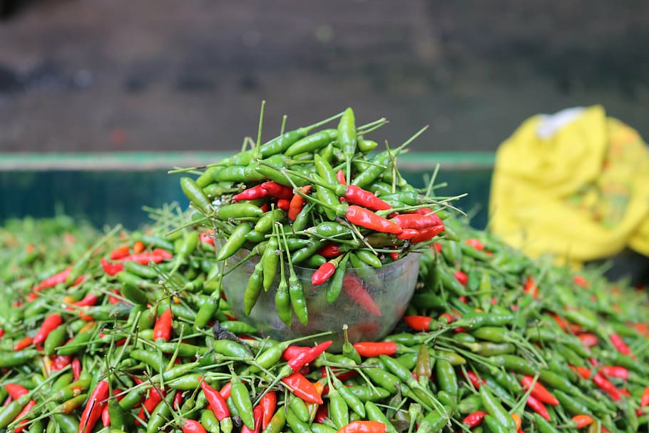 Pepe, giusto, verdure, colore verde, cibo, cibo e bevande, freschezza, verdura, concentrarsi sulle conoscenze acquisite, rosso, peperoncino, Spezia, giorno, mangiare sano, pianta, nessuno, avvicinamento, all'aperto, messa a fuoco selettiva, natura, benessere, grande gruppo di oggetti, peperoncino rosso, 4K