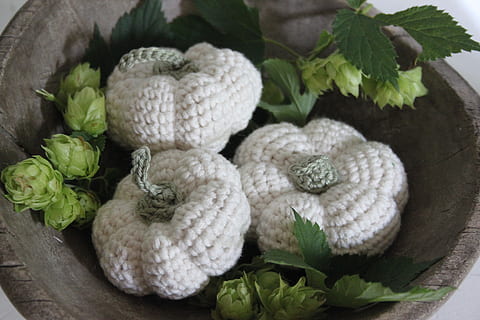 Tres, blanco, de punto, decoración de mesa de squash, calabazas, manos, enganche, calabaza de ganchillo, cuchara de madera vieja, otoño, salto, verde, bricolaje, tejer, nadie, hoja, planta, comida, parte de la planta, comida y bebida, frescura, de cerca, naturaleza, vegetal, día, el color blanco, vista de alto ángulo, flor, color verde, crecimiento, cesta, al aire libre, elección, naturaleza muerta, 2K, CC0, dominio público, libre de derechos