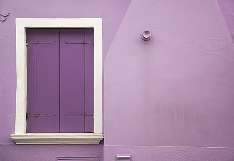 viola, parete, bianca, di legno, decorazione della parete della finestra, finestra di legno viola, finestra, otturatore, architettura, costruzione, rosa, Casa, strada, urbano, Venezia, burano, porta, Entrata, colore rosa, esterno dell'edificio, struttura costruita, sicurezza, chiuso, nessuno, quartiere residenziale, protezione, giorno, caratteristica della parete, Aperto, all'aperto, 4K, CC0, dominio pubblico, privo di copyright