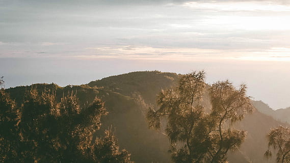 Grün, Berg, Sonnenaufgang, hoch, Bäume, Entfernung, tagsüber, Aussicht, Baum, Hügel, Wetter, Szene, Landschaft, majestätisch, Licht, Herbst, Sonnenuntergang, Himmel, Sonne, clound, Umgebung, Natur, Schönheit in der Natur, Szenen - Natur, Pflanze, Reise, Land, wolke - himmel, Nebel, keine Leute, draußen, Wald, Reiseziele, Ruhe, Kiefer, Nadelbaum, Kiefernwald, 2K, CC0, gemeinfrei, lizenzfrei