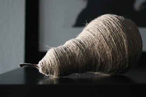 corda, fruita, pera, a l'interior, cap gent, primer pla, mamífer, un animal, cabell, tir de l'estudi, enfocament selectiu, material de fusta, pèl d’animals, naturalesa, animals domèstics, llana, bestiar, sol objecte, dia, llum solar, pols, netejar, 5K, CC0, domini públic, lliure de regalies