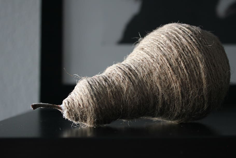 corda, fruita, pera, a l'interior, cap gent, primer pla, mamífer, un animal, cabell, tir de l'estudi, enfocament selectiu, material de fusta, pèl d’animals, naturalesa, animals domèstics, llana, bestiar, sol objecte, dia, llum solar, pols, netejar, 5K