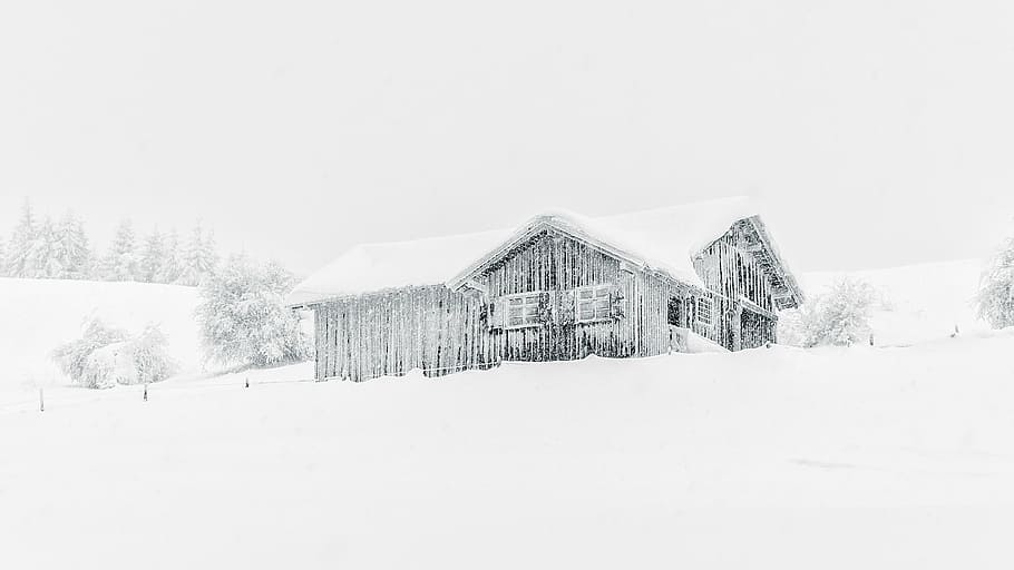 il·lustració de casa coberta de neu, escena, hivern, fred, cabina, casa de muntanya, xalet, tempesta, nevades, vent de neu, neu, escena rural, fred - temperatura, naturalesa, a l'aire lliure, graner, casa, blanc, arquitectura, temperatura de fred, estructura construïda, exterior de l'edifici, edifici, barri residencial, cel, congelat, nevar, terra, paisatge, cap gent, escenics - natura, medi ambient, arbre, casa de camp, 4K