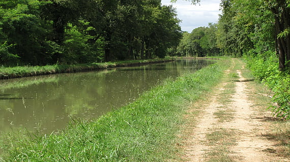 kanal, sti, natur, plante, træ, vand, ro, grøn farve, skønhed i naturen, vækst, rolig scene, afspejling, scenics - natur, sø, ingen mennesker, græs, dag, ikke-urbane scene, jord, retning, udendørs, 2K, CC0, offentligt domæne, royaltyfrie