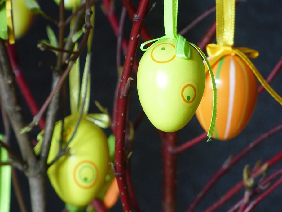 decoratie, gelukkig Pasen, paasei, Pasen, ei, Paas eieren, pasen decoraties, kleurrijk, dichtbij, kleurrijke eieren, easter egg schilderij, aesthetisch, opknoping, detailopname, groene kleur, geen mensen, fruit, groei, fabriek, focus op de voorgrond, voedsel, gezond eten, eten en drinken, dag, plant stengel, geel, rood, tak, natuur, buitenshuis, selectieve aandacht, rijp, 4K