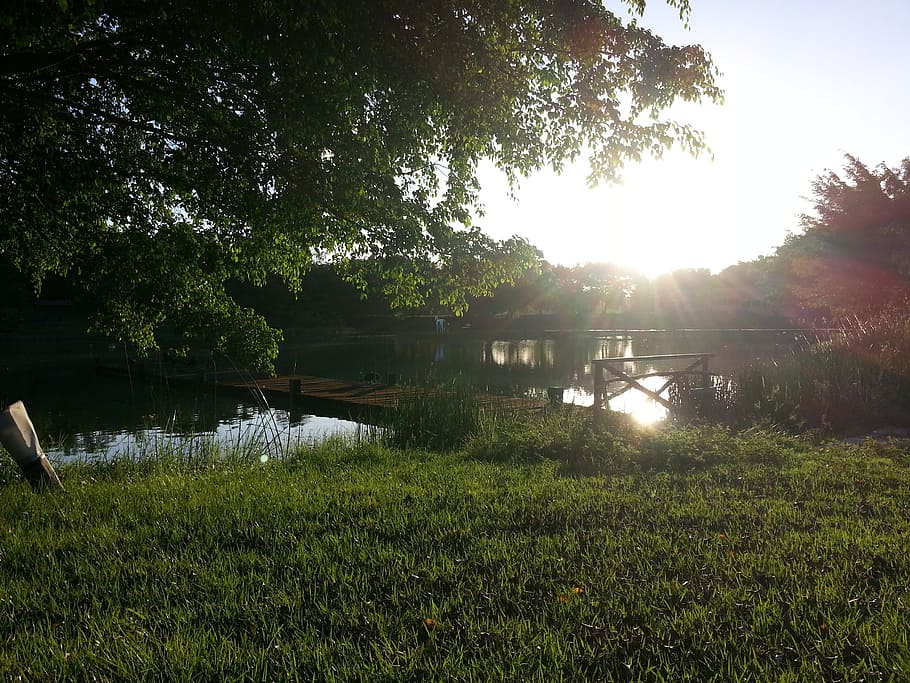 posta de sol, sol, naturalesa, eventide, per postes de sol, horitzó, paisatge, tranquil, bellesa, granja, lloc, llac, estany, planta, arbre, aigua, tranquil·litat, escena tranquil·la, bellesa a la natura, creixement, herba, llum solar, escenics - natura, color verd, cel, reflexió, cap gent, terra, escena no urbana, flare de la lent, a l'aire lliure, 2K