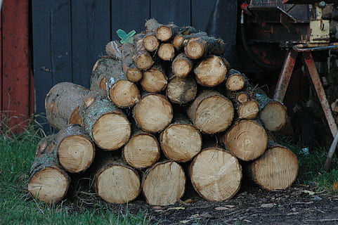 registres, fusta, arbre, alt, bosc, piles, tribu, material de fusta, indústria de la fusta, registre, llenya, naturalesa, tronc de l'arbre, marró, pila, gran grup d'objectes, desforestació, abundància, cap gent, generació de combustible i energia, Munt, dia, a l'aire lliure, combustibles fòssils, qüestions ambientals, 2K, CC0, domini públic, lliure de regalies