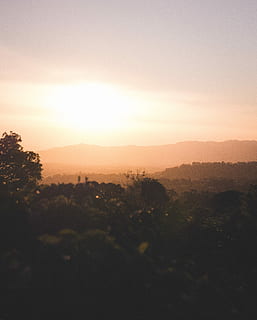 Basso, angle-view, silhouette, le foglie, Alba, foresta, montagna, tramonto, paesaggio, albero, cielo dorato, scena tranquilla, scenics - natura, cielo, la tranquillità, bellezza nella natura, pianta, ambiente, natura, nessuno, sole, scena non urbana, copia spazio, crescita, all'aperto, idilliaco, 4K, CC0, dominio pubblico, privo di copyright