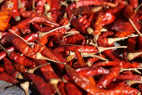 Chili, Chili-Pfeffer, rot, Scharf, Essen und Trinken, Lebensmittel, Hintergründe, Vollbild, Frische, Stillleben, Fülle, würzen, gesundes Essen, große gruppe von gegenständen, Gemüse, Wohlbefinden, Nahansicht, keine Leute, rote Chilischote, Pfeffer, zu verkaufen, Markt, 4K, CC0, gemeinfrei, lizenzfrei