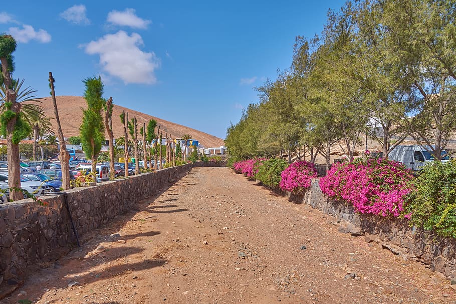 riu, deshidratat, sequera, sec, naturalesa, sòl, estiu, falta de pluja, planta, arbre, cel, el camí a seguir, direcció, arquitectura, dia, estructura construïda, perspectiva decreixent, llum solar, cap gent, flor, blau, sendera, planta amb flors, núvol - cel, exterior de l'edifici, a l'aire lliure, carretera, 5K