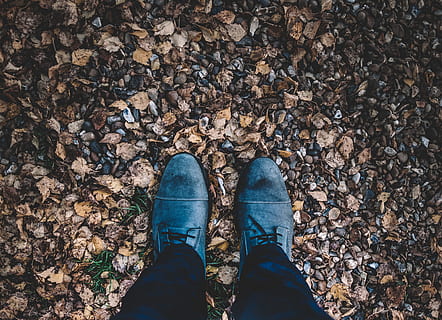 la personne, portant, noir, chaussures habillées Oxford en cuir, feuilles, gris, baskets, un pantalon, ces bottes ont été faites pour la marche, l'automne, démarrage, feuille, chaussure, pied humain, jambe humaine, en marchant, Hommes, en plein air, personnes, jeans, la nature, mâles, section basse, permanent, journée, une personne, Vrais gens, perspective personnelle, partie du corps, partie du corps humain, modes de vie, directement au-dessus, terre, vue grand angle, Vêtements décontractés, membre humain, 5K, CC0, domaine public, libre de droits
