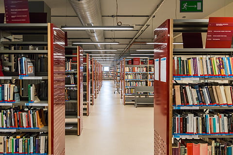 kitap, düzenlemek, kitaplık, raf, kütüphane, okuma, Eğitim, test, test etmek, çalışma masası, bina, bilgi, Edebiyat, halka açık, Öğrenci, yemek masası, okul, Üniversite, iç, bilgelik, çalışmalar, sınav, üniversite, jan kochanowski üniversitesi, Kielce, yayın, büyük nesne grubu, içeriye, bolluk, seçim, öğrenme, Toplamak, varyasyon, sipariş, kitapçı, aranjman, insanlar, üst üste, ders çalışıyor, 2K, CC0, kamu malı, telif ücretsiz