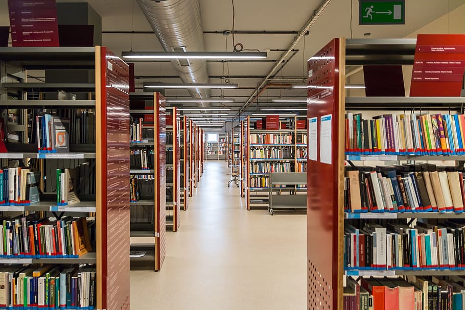 llibre, organitzar, prestatge per a llibres, prestatge, biblioteca, lectura, educació, la prova, per provar, escriptori, edifici, informació, literatura, coneixement, públic, estudiant, taula de menjador, escola, formació, universitat, interior, l 'interior de l', saviesa, estudis, examen, la Universitat, la universitat jan kochanowski, kielce, publicació, gran grup d'objectes, a l'interior, abundància, elecció, aprenentatge, col · lecció, variació, ordre, llibreria, arranjament, gent, en fila, estudiar, 2K