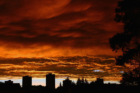 clouds, sunset, sky, abendstimmung, evening, urban Skyline, dusk, cityscape, cloud - sky, silhouette, beauty in nature, tree, architecture, scenics - nature, orange color, dramatic sky, no people, nature, building exterior, built structure, idyllic, tranquility, plant, tranquil scene, building, outdoors, dark, ominous, 5K, CC0, public domain, royalty free