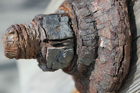 ferrugem, parafuso, ferro, hardware, noz, oxidado, enferrujado, focar em primeiro plano, fechar-se, dia, ninguém, ao ar livre, um animal, texturizado, madeira - material, intemperizado, tronco de árvore, árvore, tronco, metal, estragado, velho, rude, natureza, padronizar, atropelar, declínio, deterioração, unha, 4K, CC0, domínio público, royalty free
