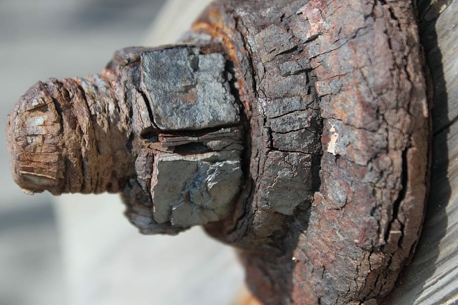 ferrugem, parafuso, ferro, hardware, noz, oxidado, enferrujado, focar em primeiro plano, fechar-se, dia, ninguém, ao ar livre, um animal, texturizado, madeira - material, intemperizado, tronco de árvore, árvore, tronco, metal, estragado, velho, rude, natureza, padronizar, atropelar, declínio, deterioração, unha, 4K