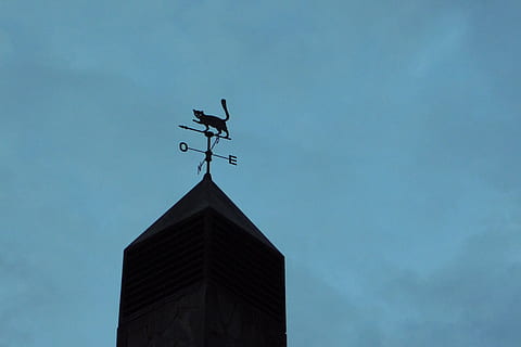 veleta, gat, vent, núvols, llar de foc, cel, Rosa dels Vents, oest, això, aire, punts cardinals, alçada, penell, vista d’angle baix, arquitectura, estructura construïda, cap gent, naturalesa, comunicació, exterior de l'edifici, orientació, núvol - cel, edifici, direcció, símbol de fletxa, representació animal, dia, a l'aire lliure, blau, senyal direccional, símbol, meteorologia, 2K, CC0, domini públic, lliure de regalies