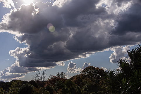 nuvole, bianca, grigio, blu, drammatico, linea, Allineati, tempo metereologico, cielo, Australia, paesaggio, nuvola - cielo, albero, pianta, bellezza nella natura, natura, Inquadratura dal basso, nessuno, scenics - natura, luce del sole, giorno, all'aperto, crescita, la tranquillità, scena tranquilla, tempesta, temporale, cielo drammatico, ambiente, cima dell'albero, infausto, 2K, CC0, dominio pubblico, privo di copyright